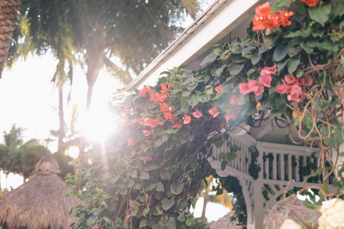 Lifestyle blogger, Leigha Gardner, of The Lilac Press, shares vibrant photography from a recent visit to Miami.