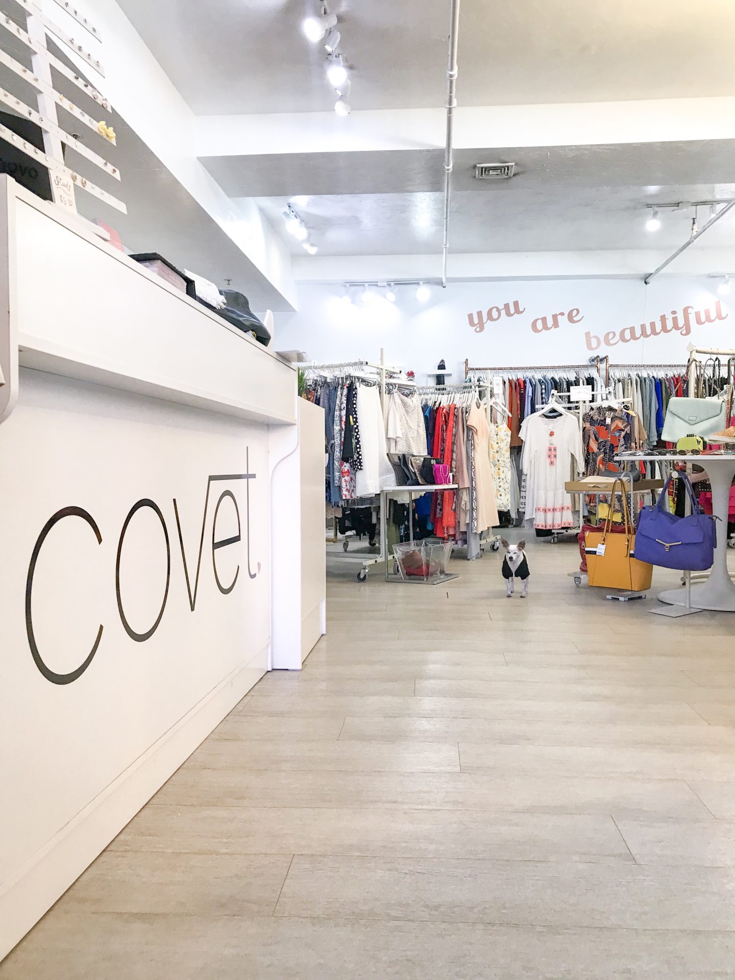 consignment shopping with covet boston, found a NWT self portrait skirt!